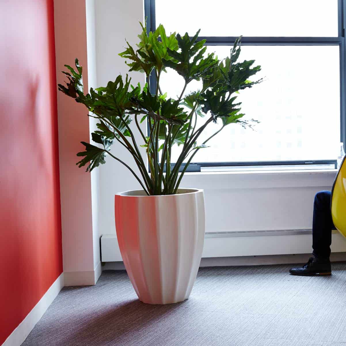 Alicante Fluted Round Planter - Pro Insulation and Fence