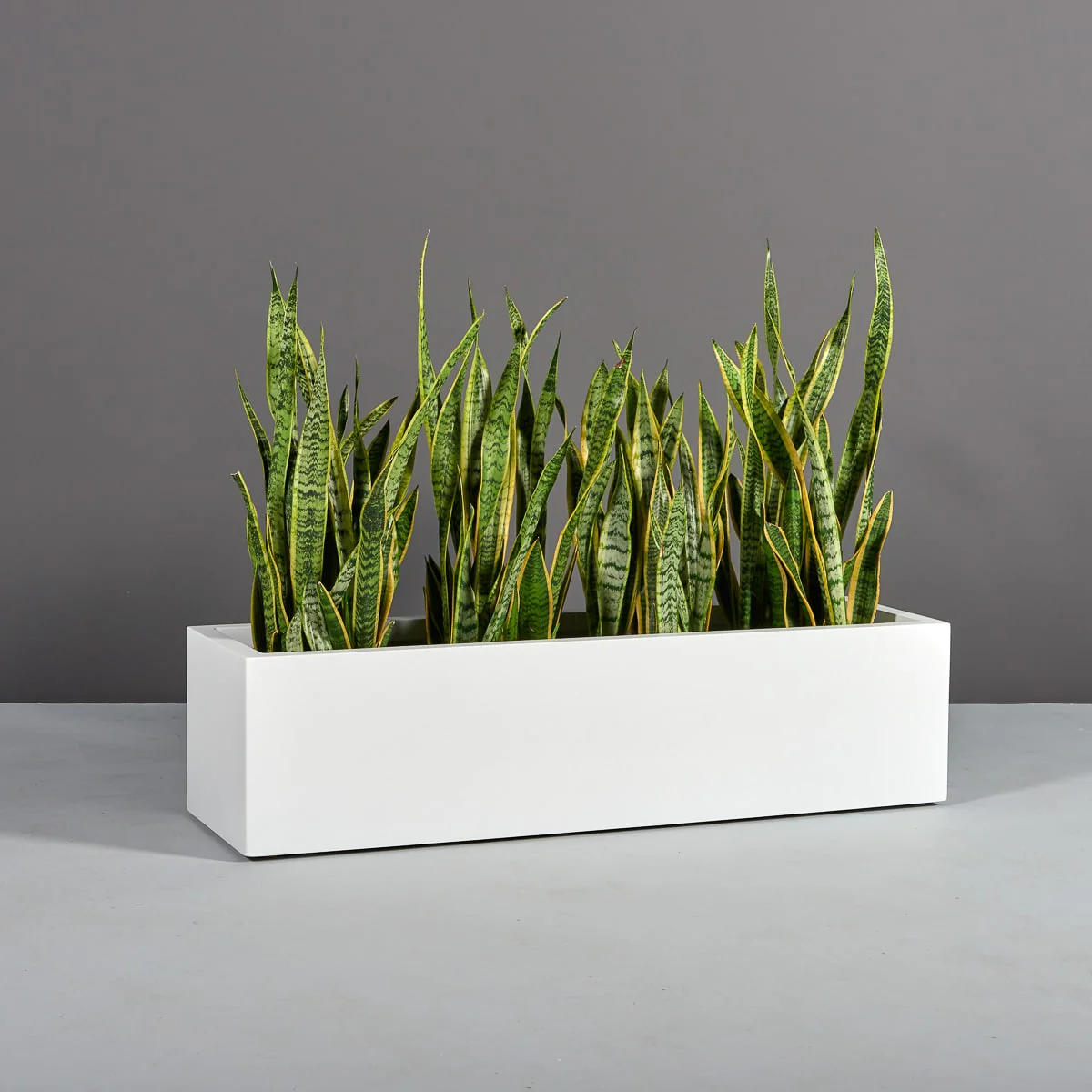 Cuba Low Rectangular Planter - Pro Insulation and Fence