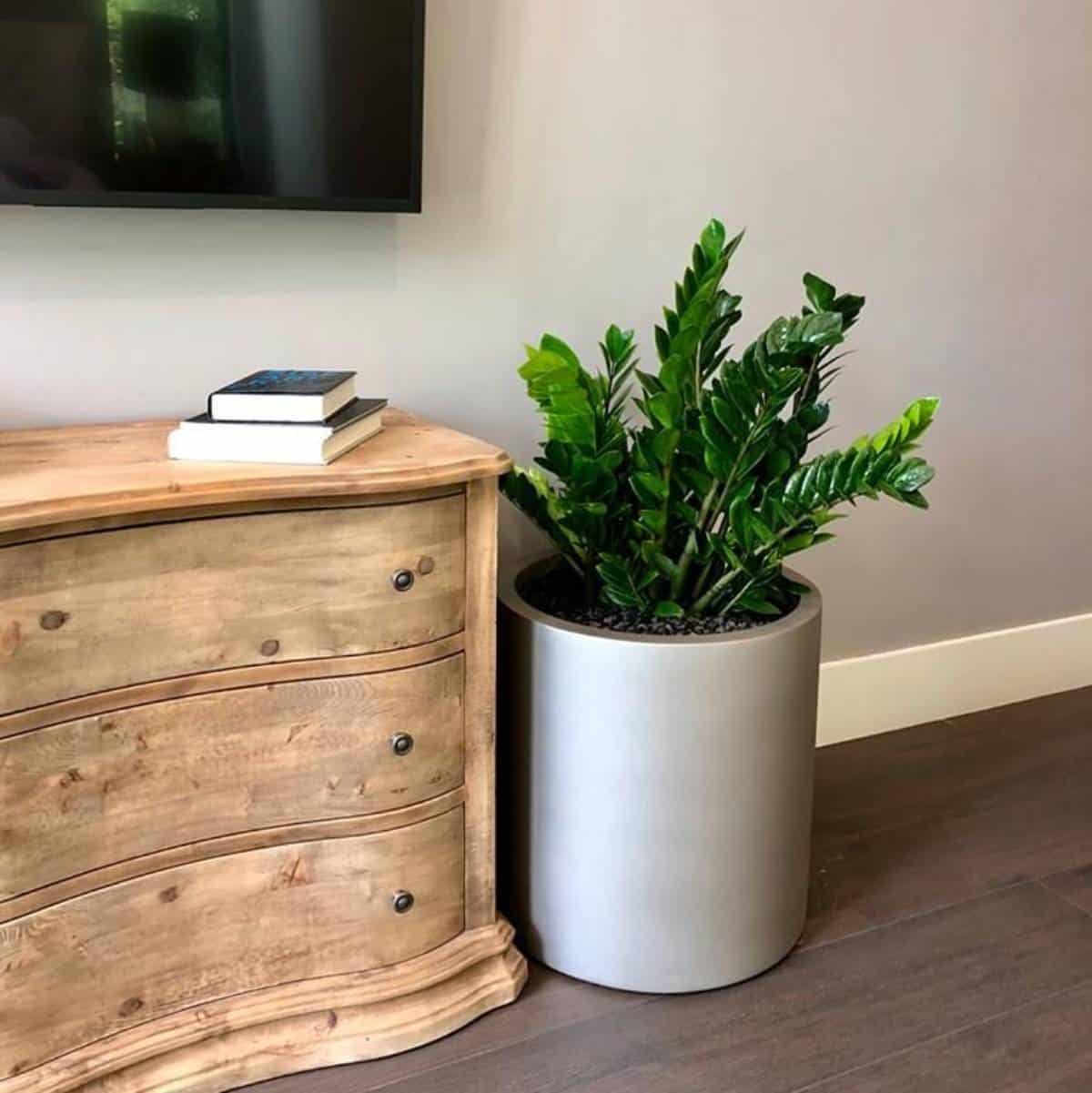 Rio Grande Cylinder Planter - Pro Insulation and Fence