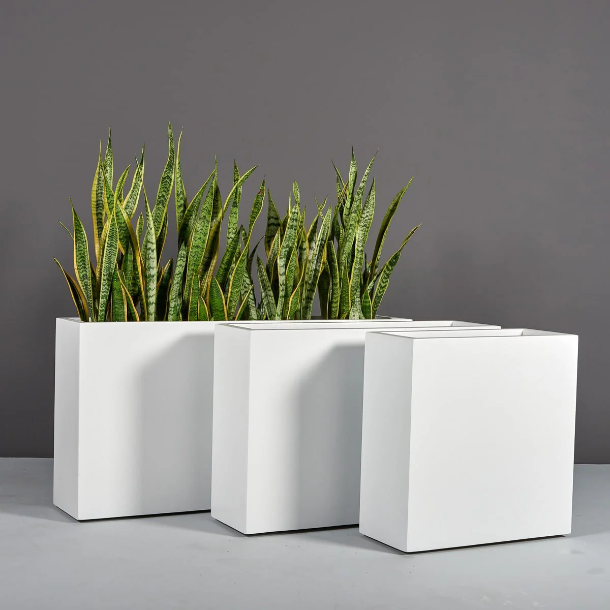 Hollywood Rectangular Planter - Pro Insulation and Fence