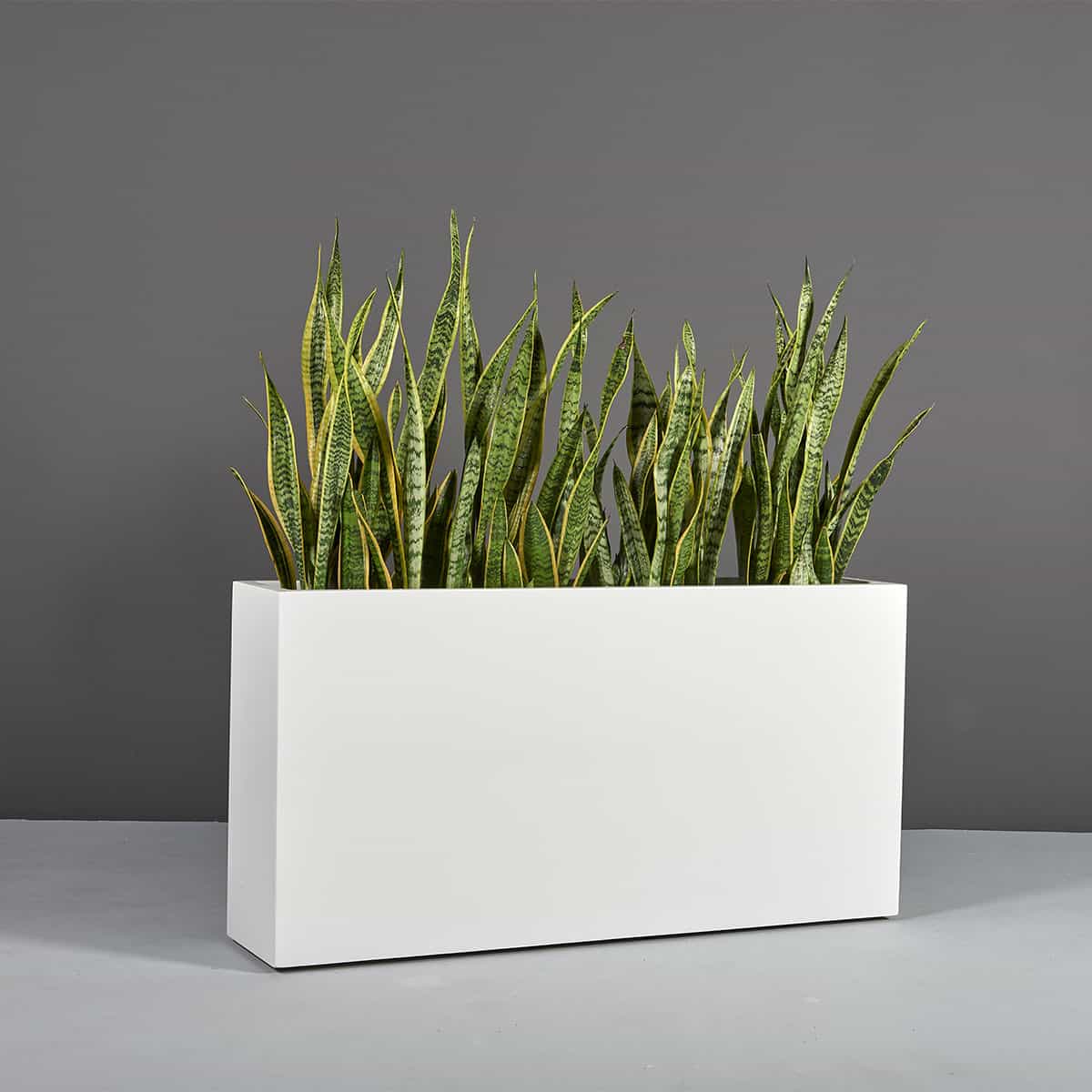 Milano Narrow Rectangular Planter - Pro Insulation and Fence