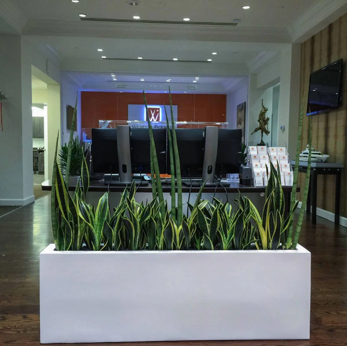 Camoux Narrow Rectangular Planter - Pro Insulation and Fence