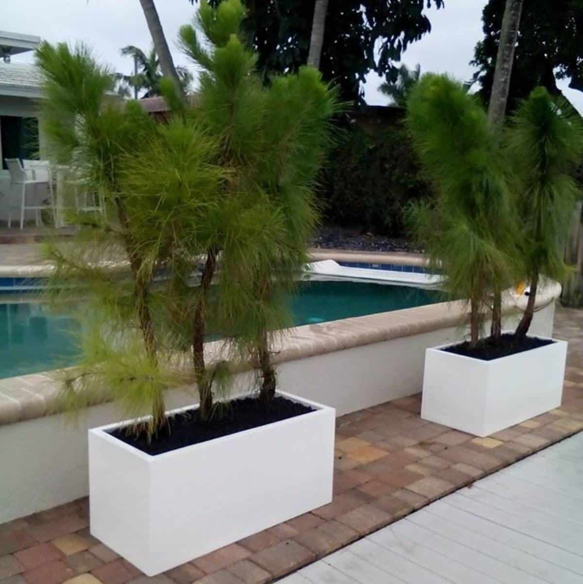 Torino Wide Rectangle Planter - Pro Insulation and Fence