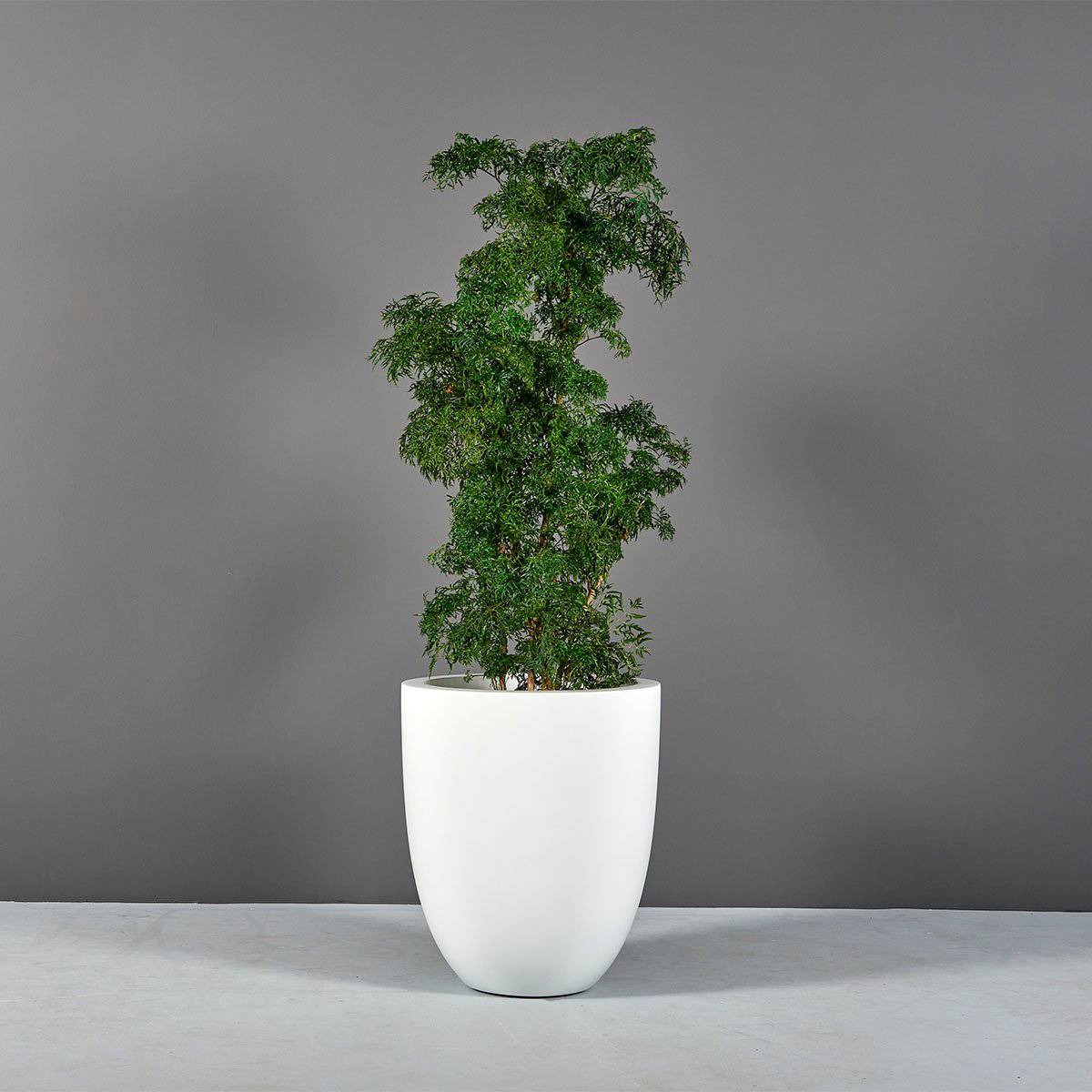 Valencia Tall Round Tapered Planter - Pro Insulation and Fence