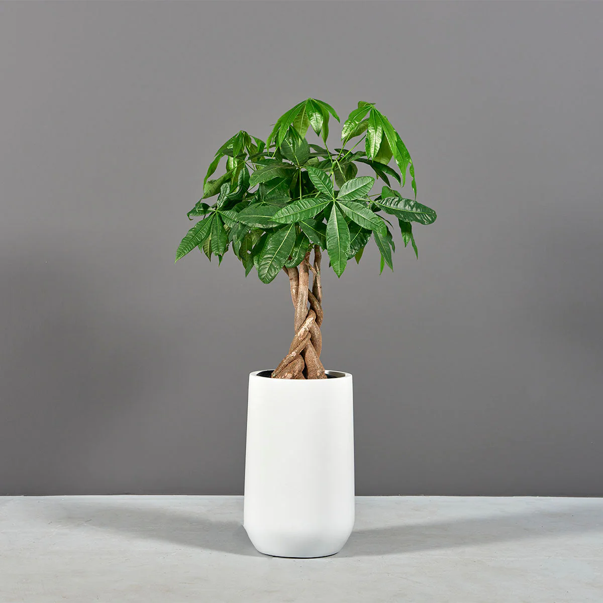 Hayden Tapered Round Planter - Pro Insulation and Fence