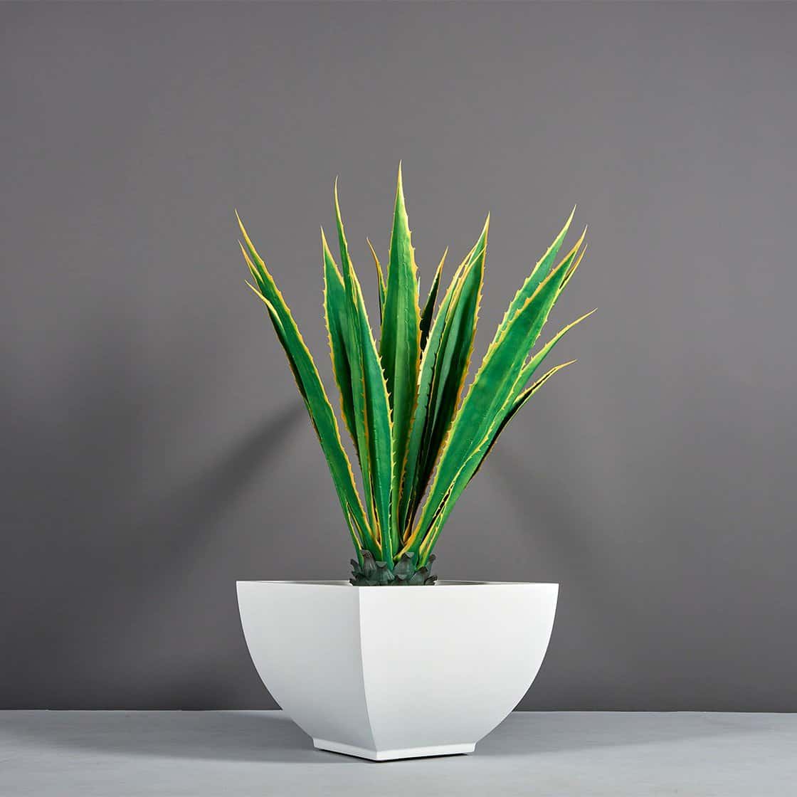 Kathryn Square Tapered Planter - Pro Insulation and Fence