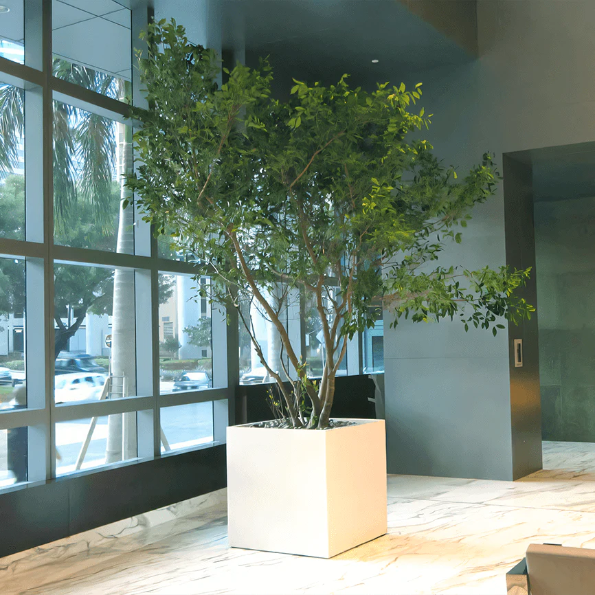 Large Montroy Cube Planter - Pro Insulation and Fence