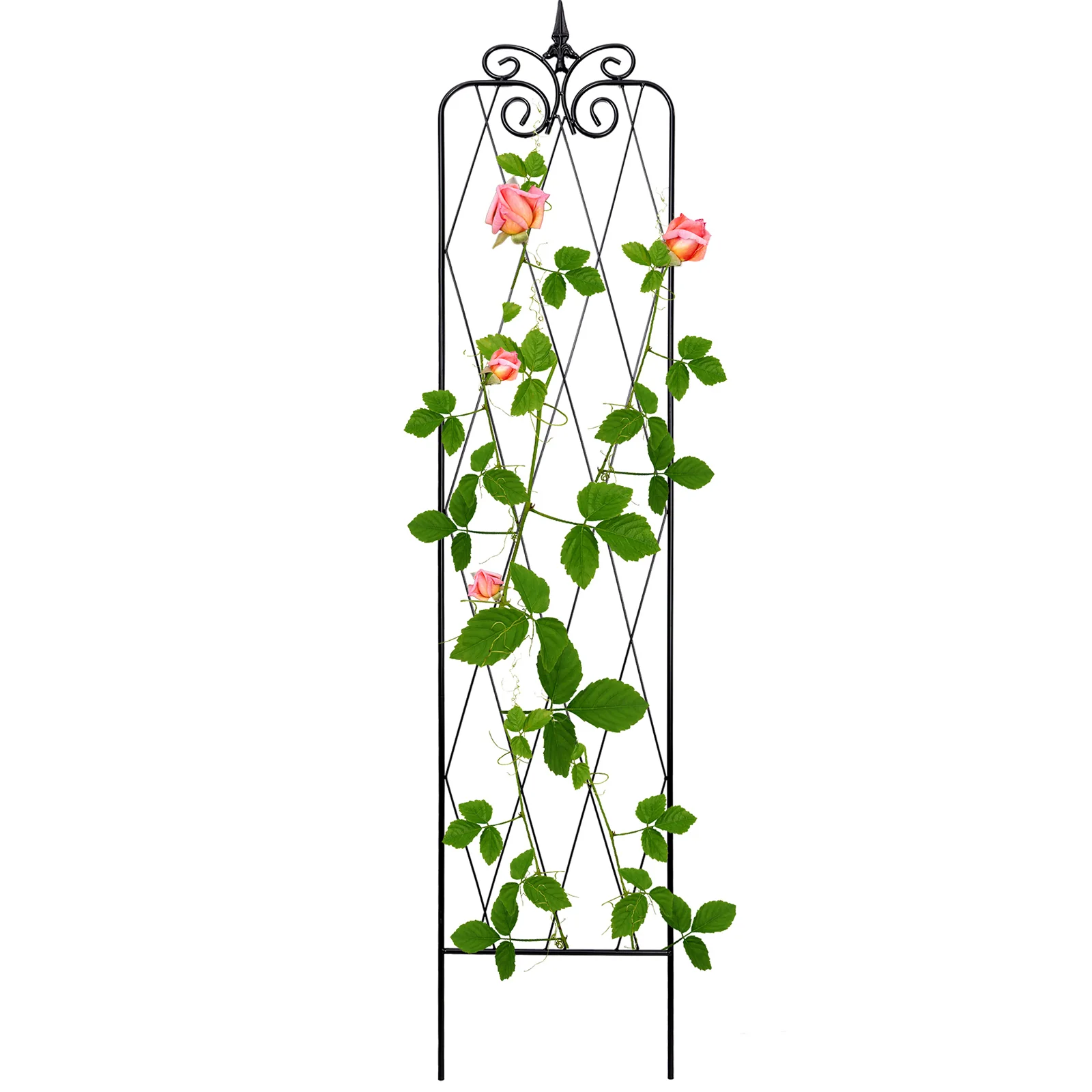 71inch x15inch Rustproof Metal Vine Trellises A 180cm 2Pack - Pro Insulation and Fence