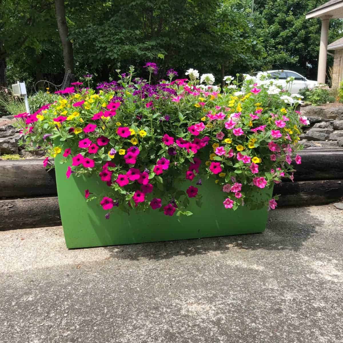 Panama Rectangular Tapered Planter - Pro Insulation and Fence