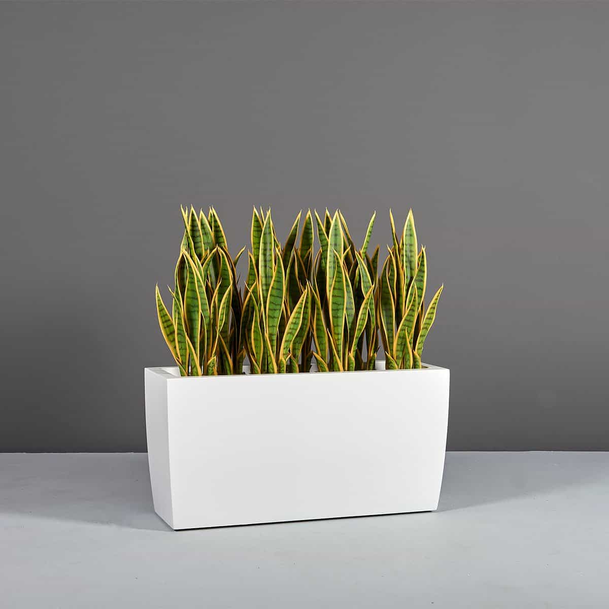 Panama Rectangular Tapered Planter - Pro Insulation and Fence