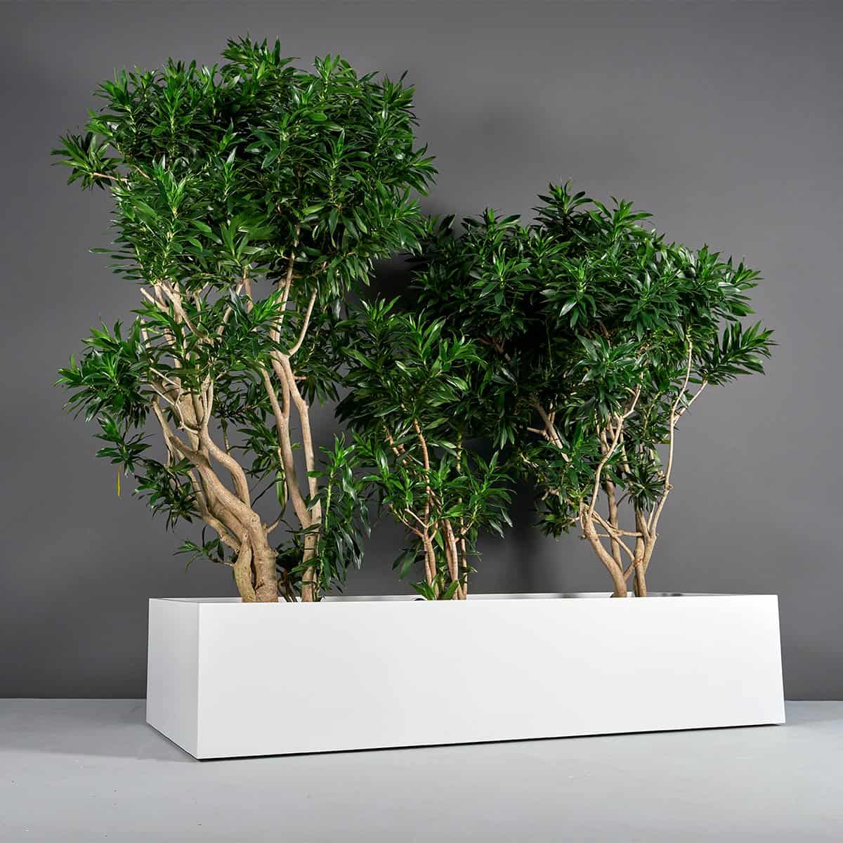 Selenge Extra Wide Large Rectangle Planter - Pro Insulation and Fence