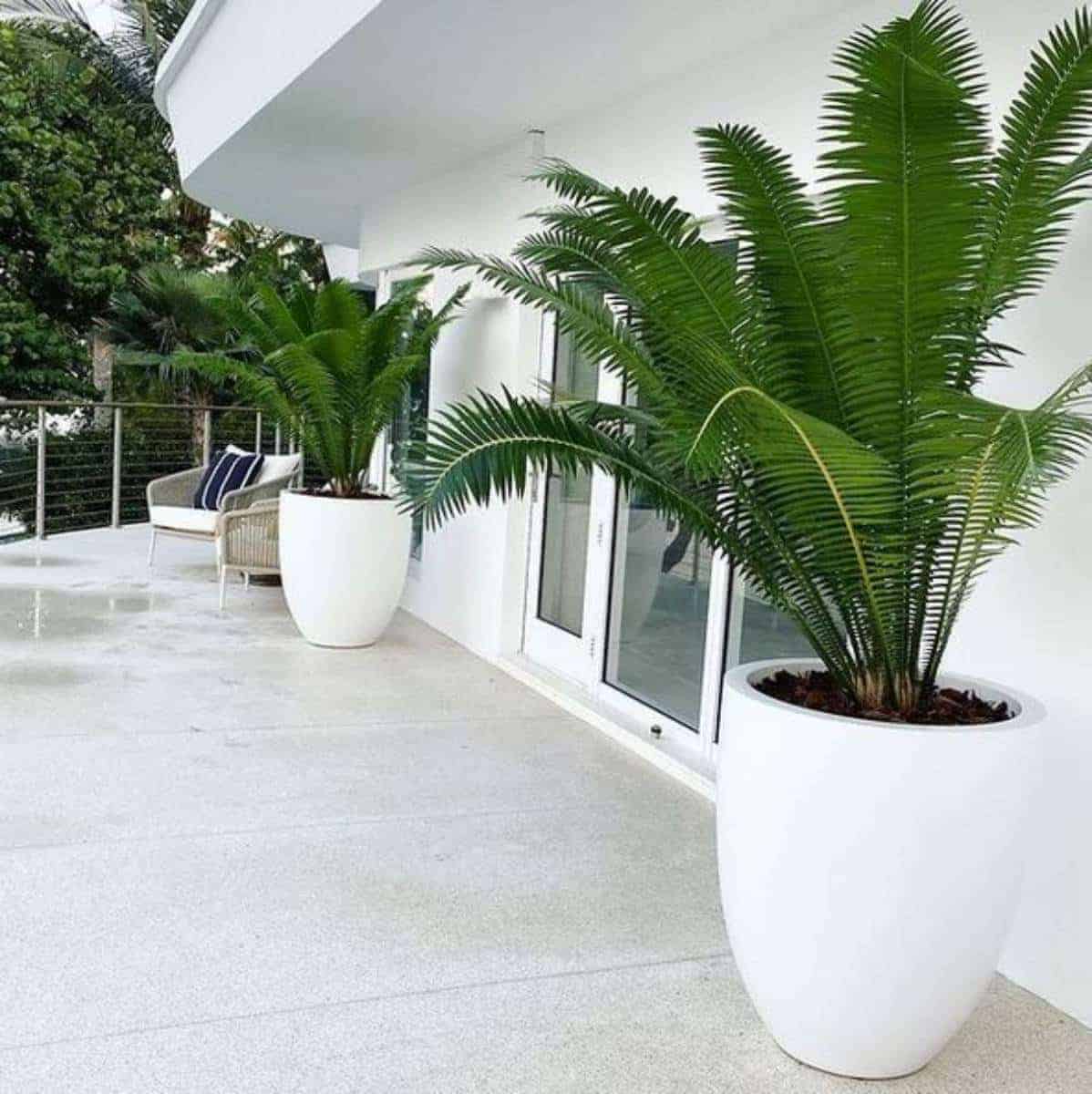 Valencia Tall Round Tapered Planter - Pro Insulation and Fence