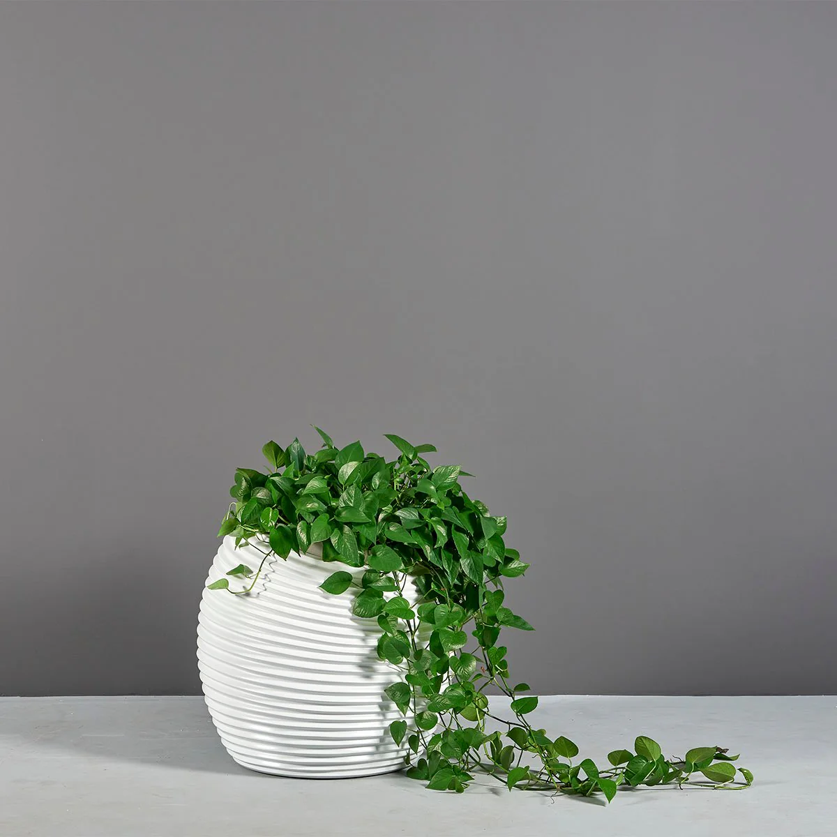 Spiral Modern Globe Planter - Pro Insulation and Fence