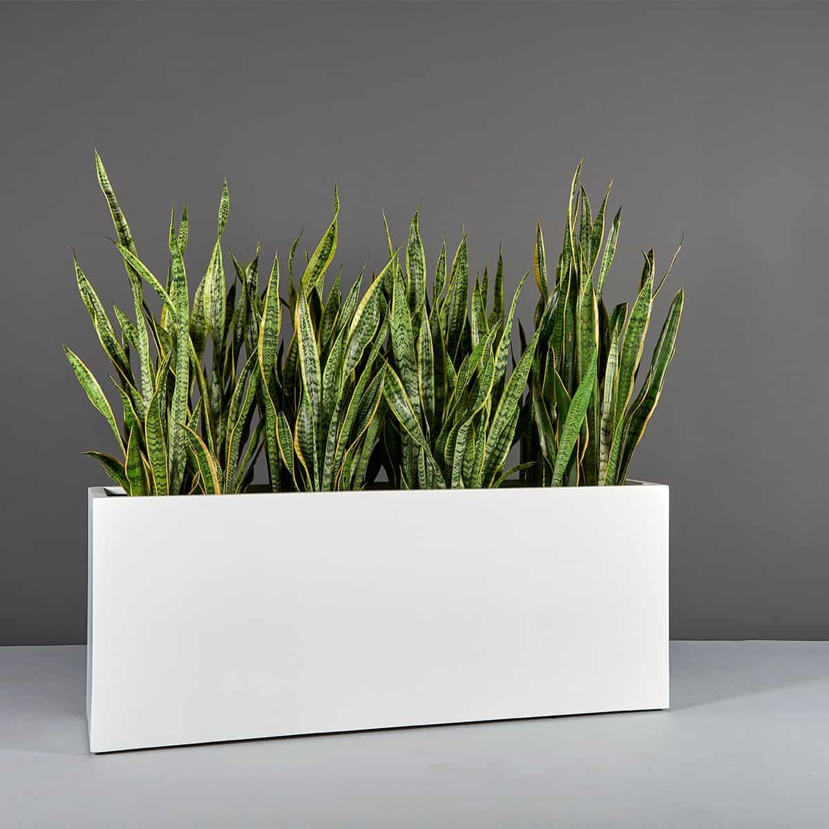 Tolga Rectangular Planter - Pro Insulation and Fence