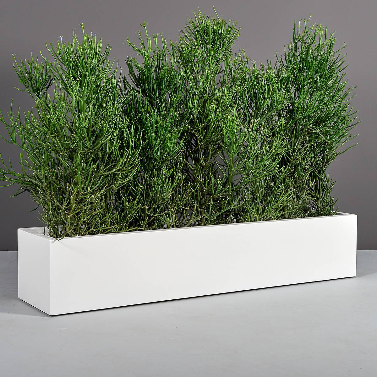 Cuba Low Rectangular Planter - Pro Insulation and Fence