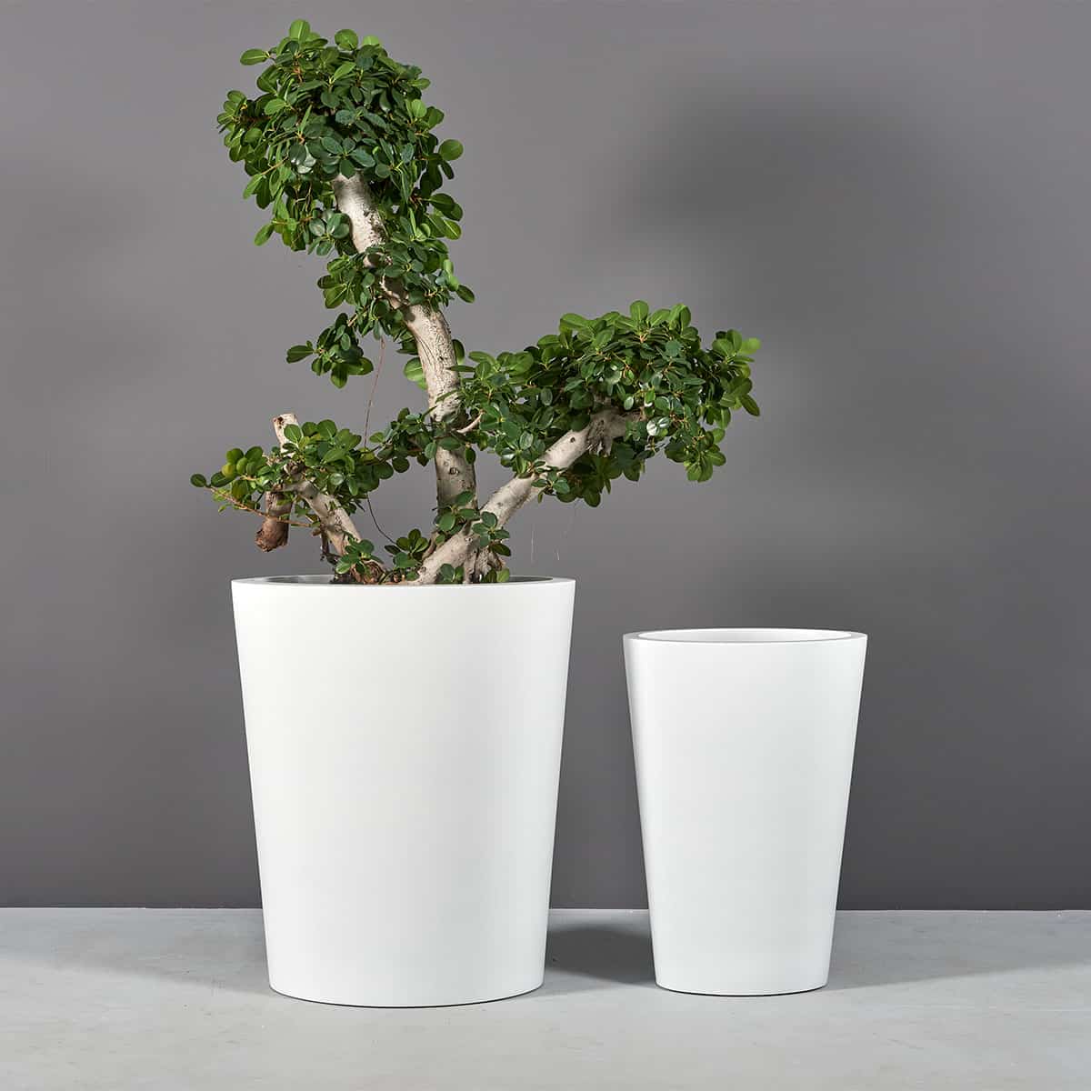 Pego Oval Planter - Pro Insulation and Fence