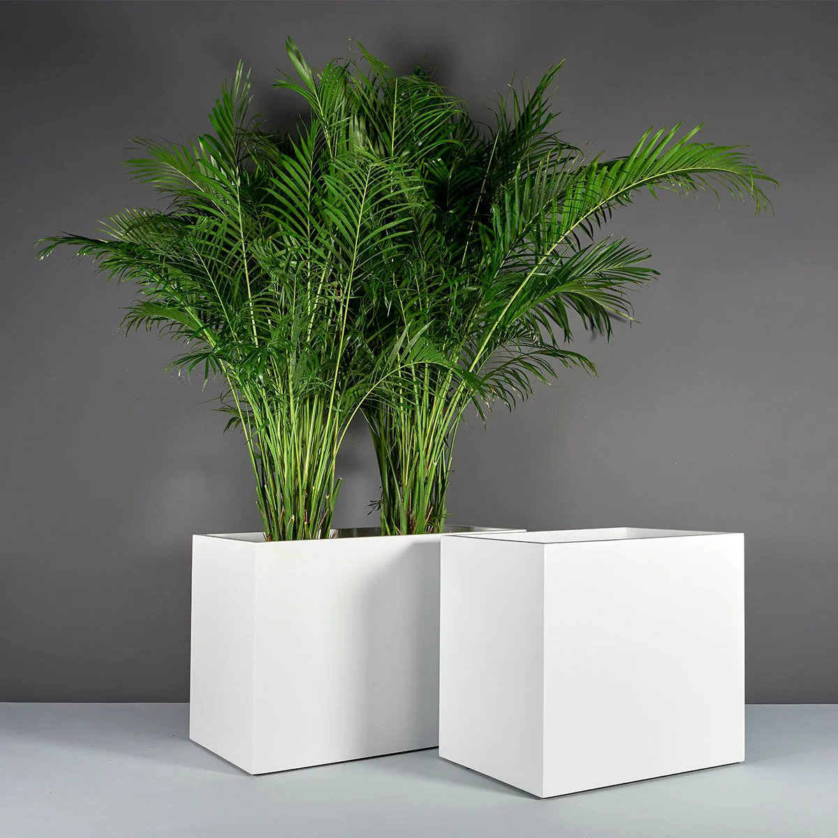 Brisbane Wide Rectangular Planter - Pro Insulation and Fence