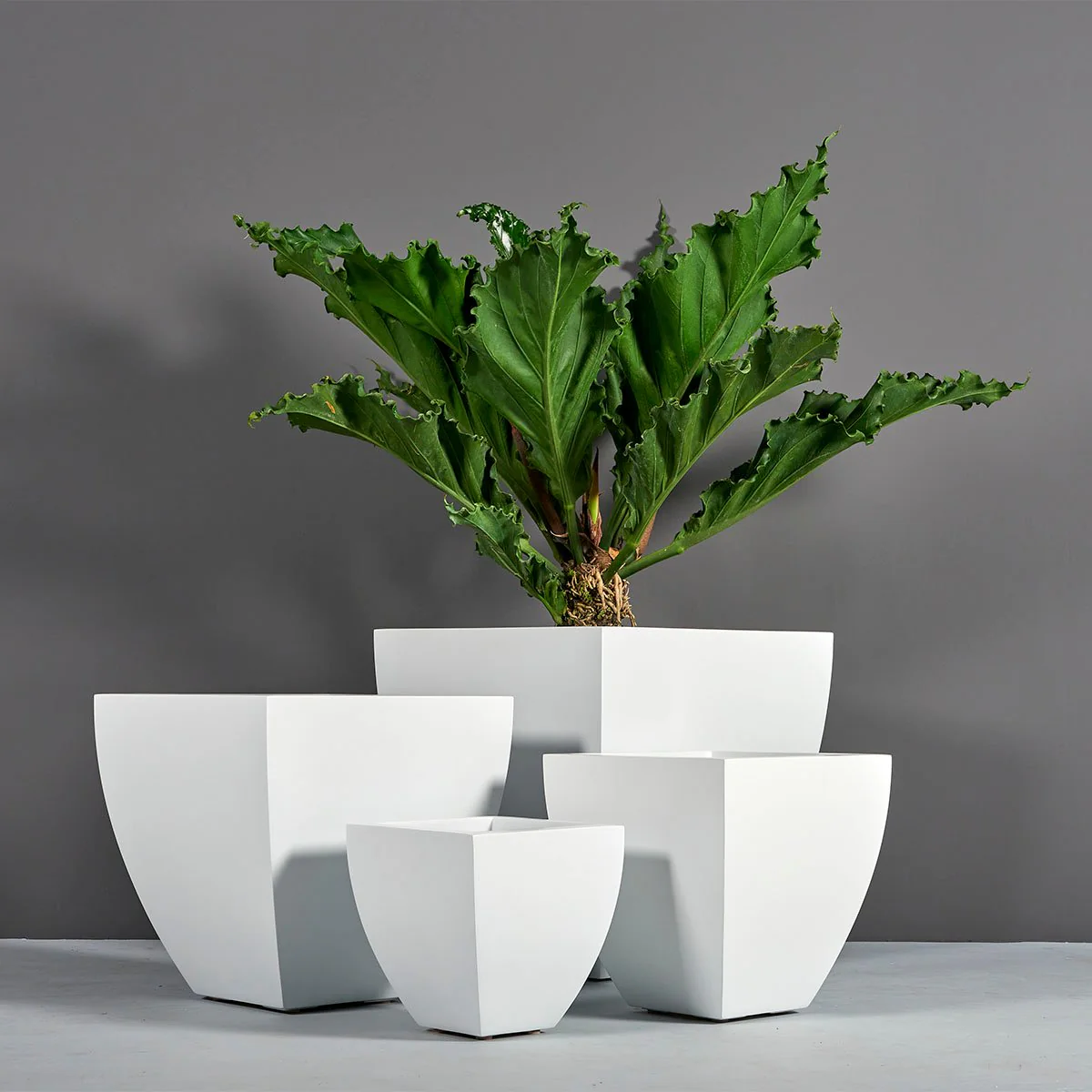 Lima Square Tapered Planter - Pro Insulation and Fence