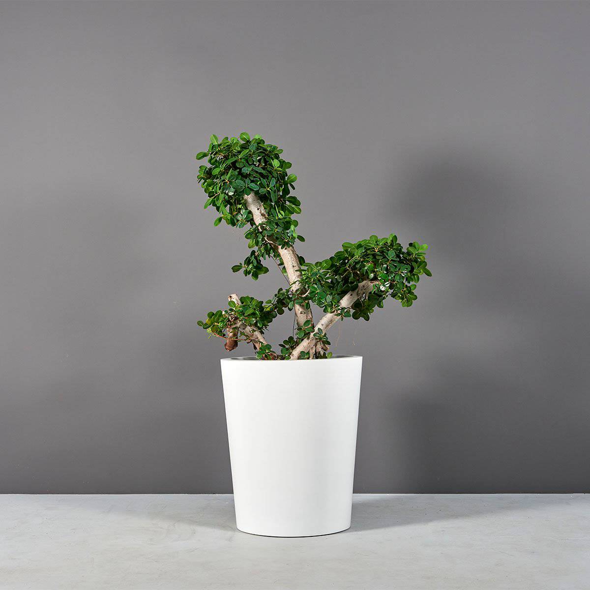 Pego Oval Planter - Pro Insulation and Fence