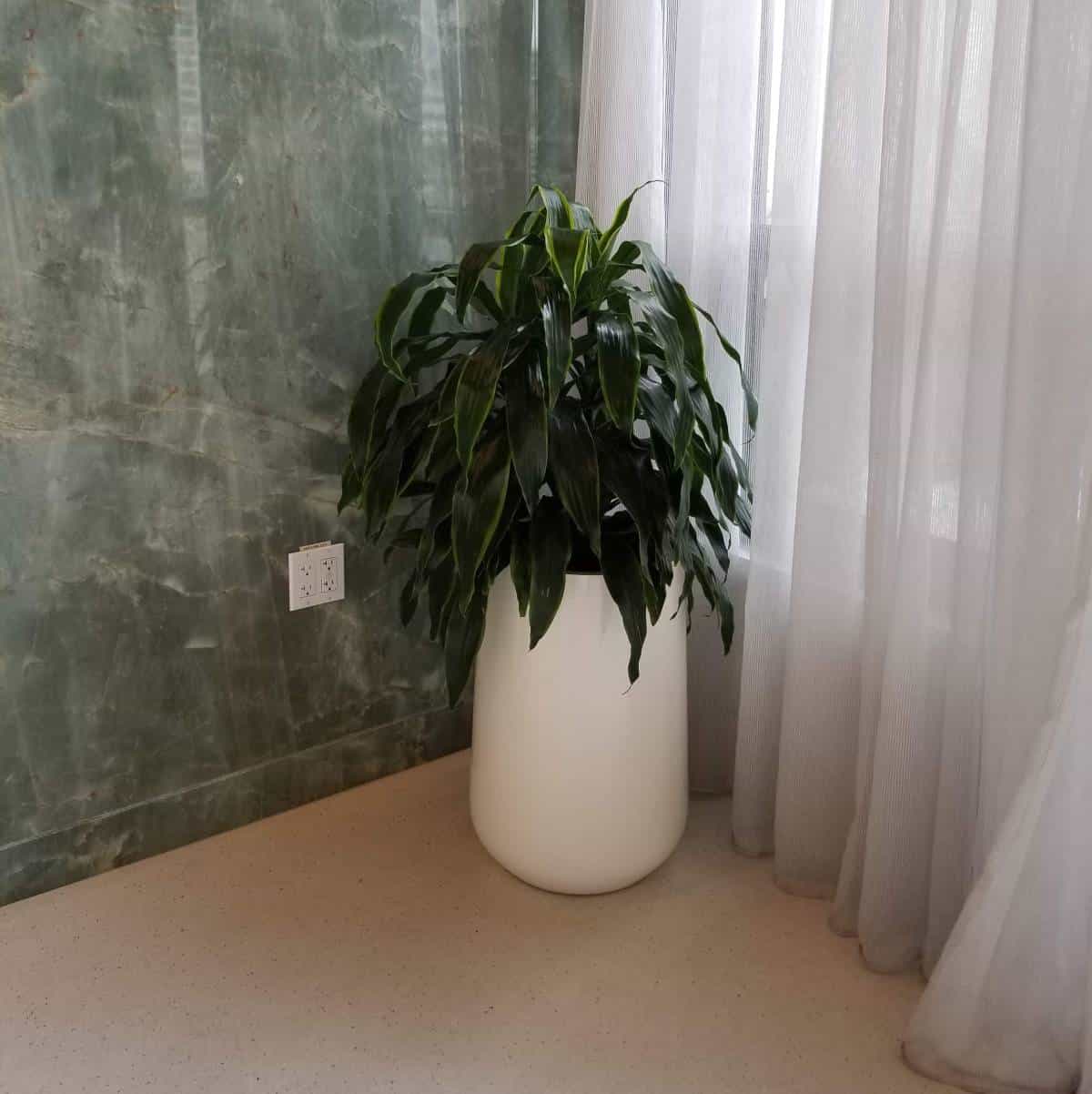 Saigon Round Tapered Planter - Pro Insulation and Fence