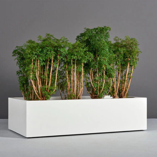 Antwerp Wide Rectangular Planter - Pro Insulation and Fence