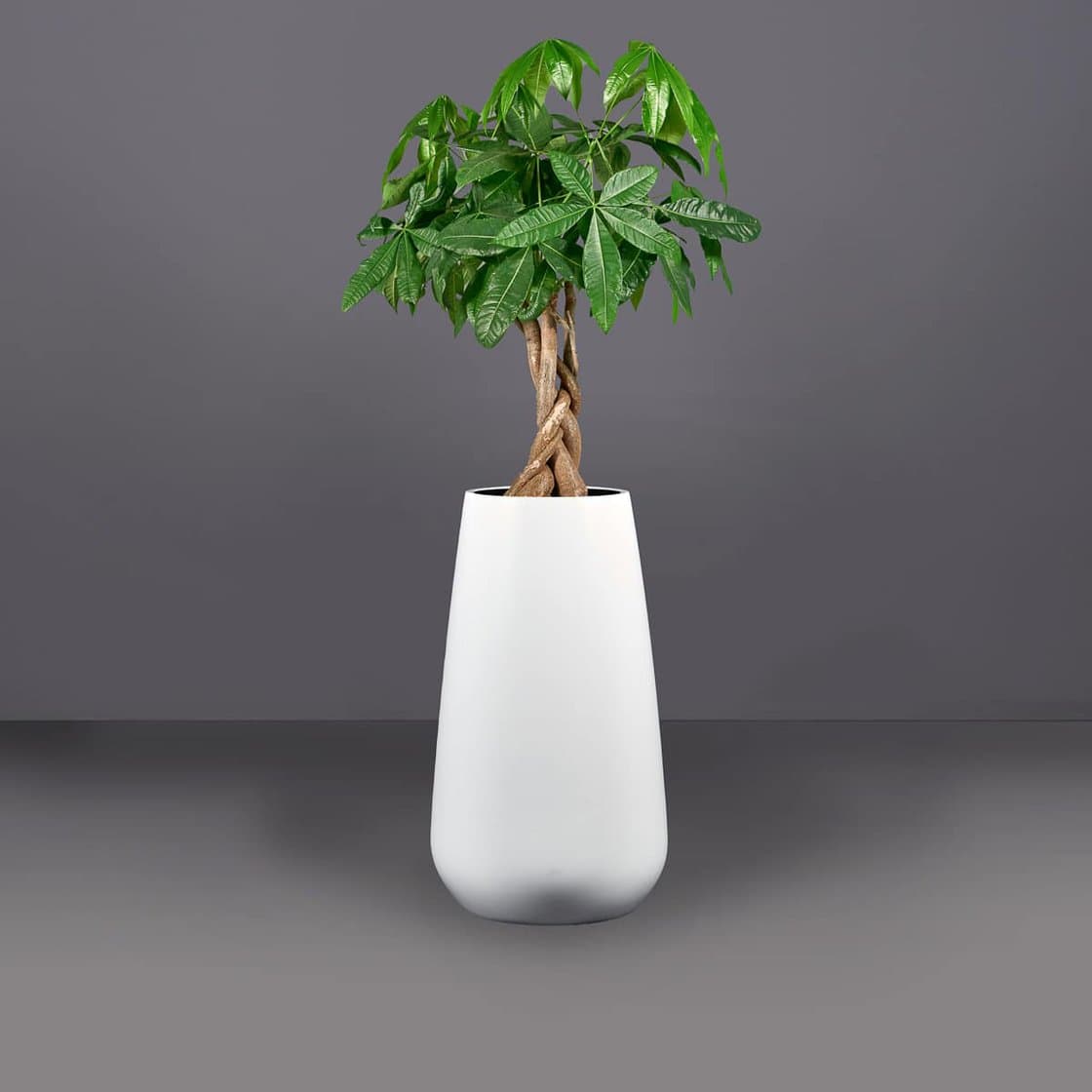 Saigon Round Tapered Planter - Pro Insulation and Fence