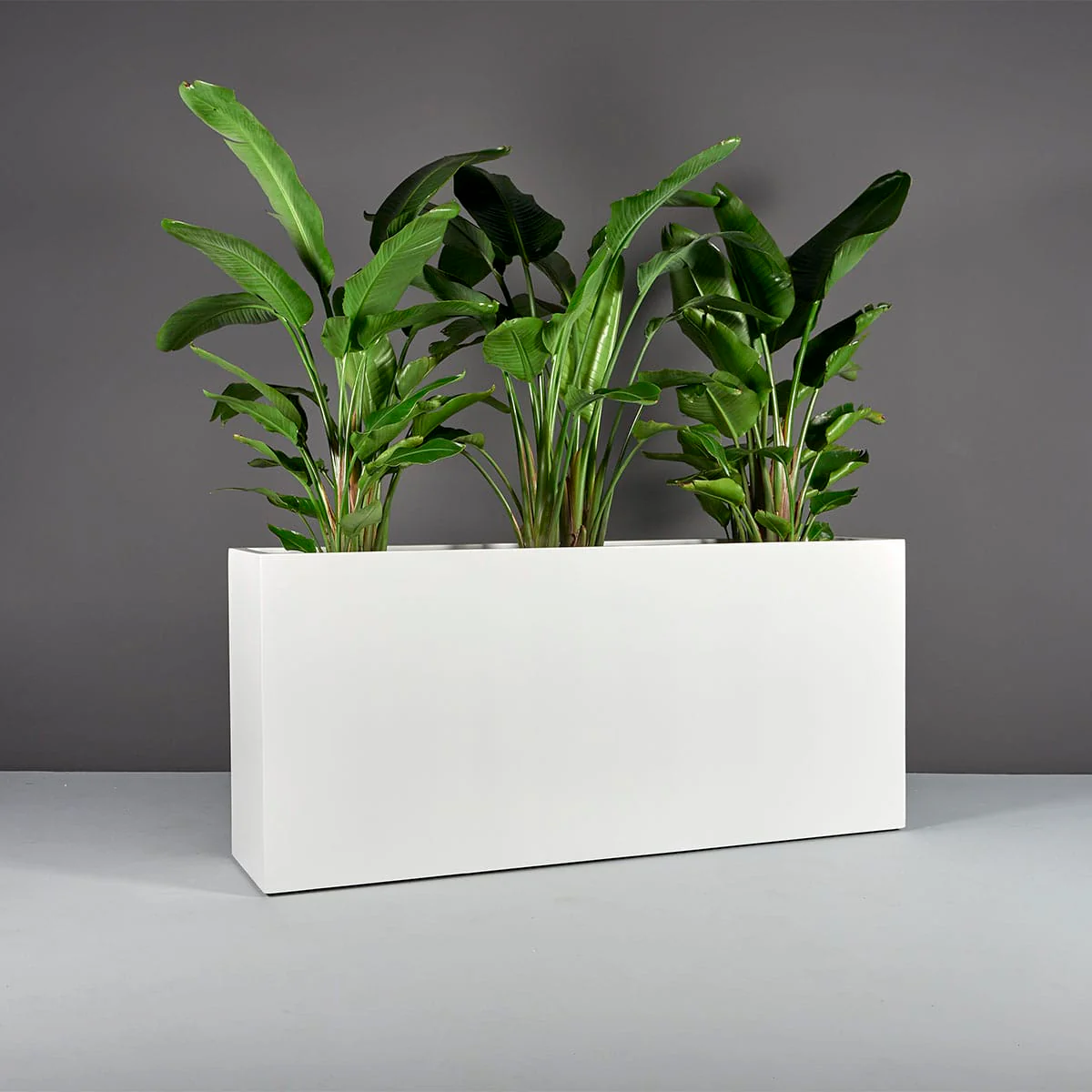 Potsdam Rectangular Planter - Pro Insulation and Fence