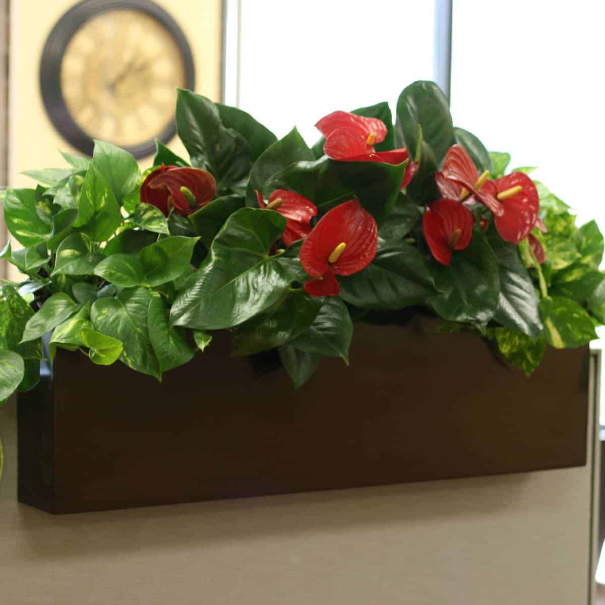 Tiergarden Railing Planter - Pro Insulation and Fence