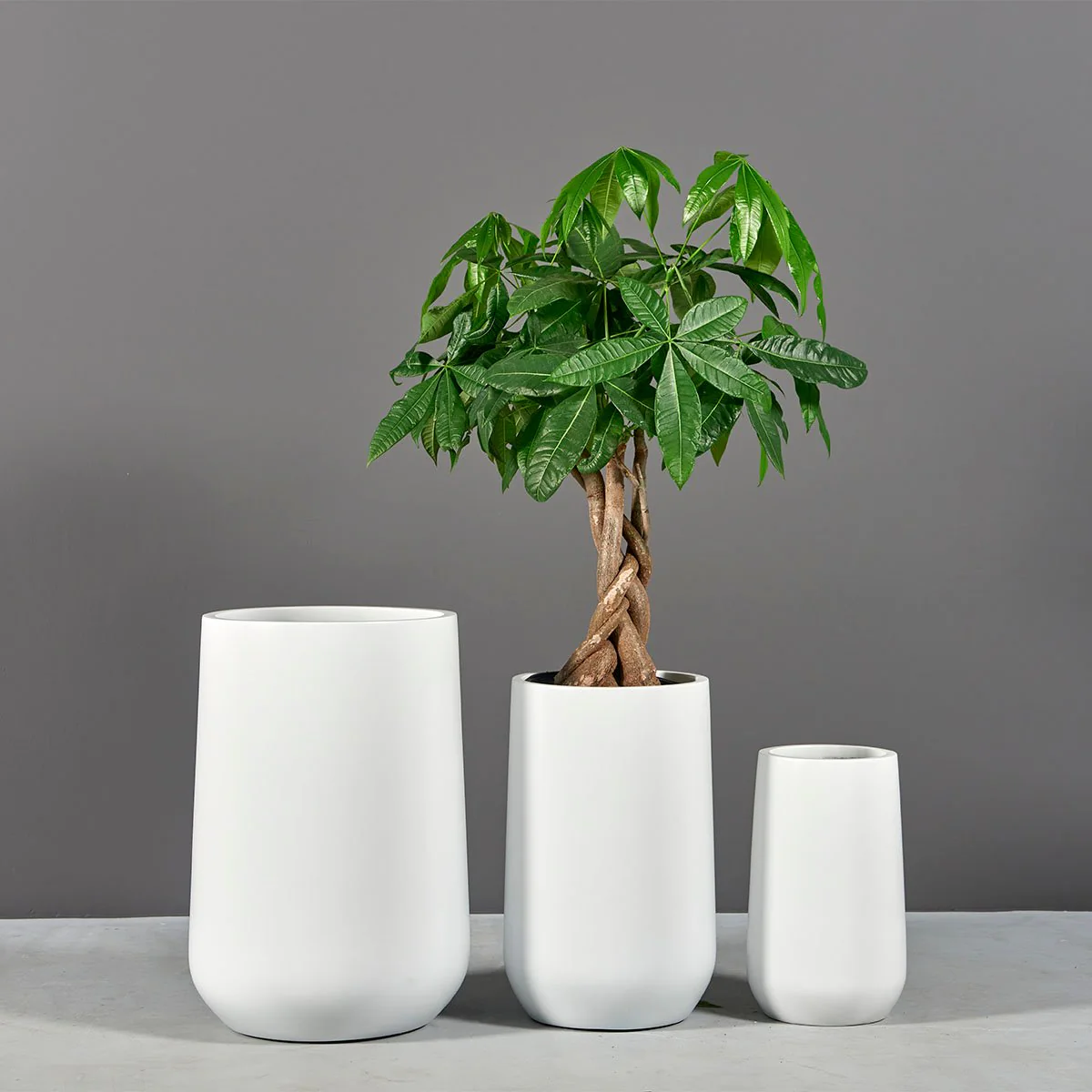 Hayden Tapered Round Planter - Pro Insulation and Fence