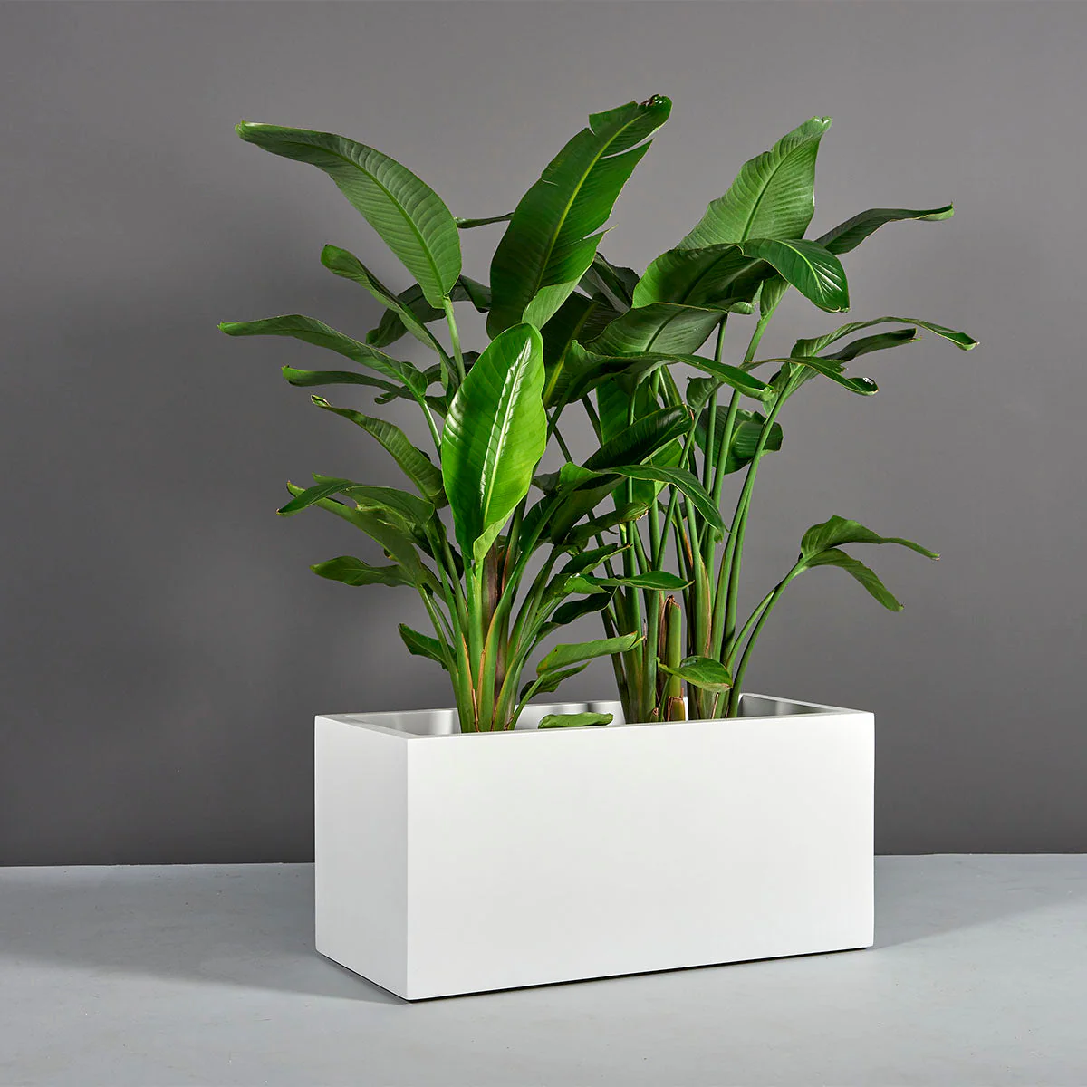 Badalona Rectangular Planter - Pro Insulation and Fence