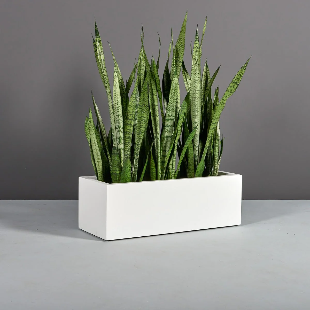 Cuba Low Rectangular Planter - Pro Insulation and Fence