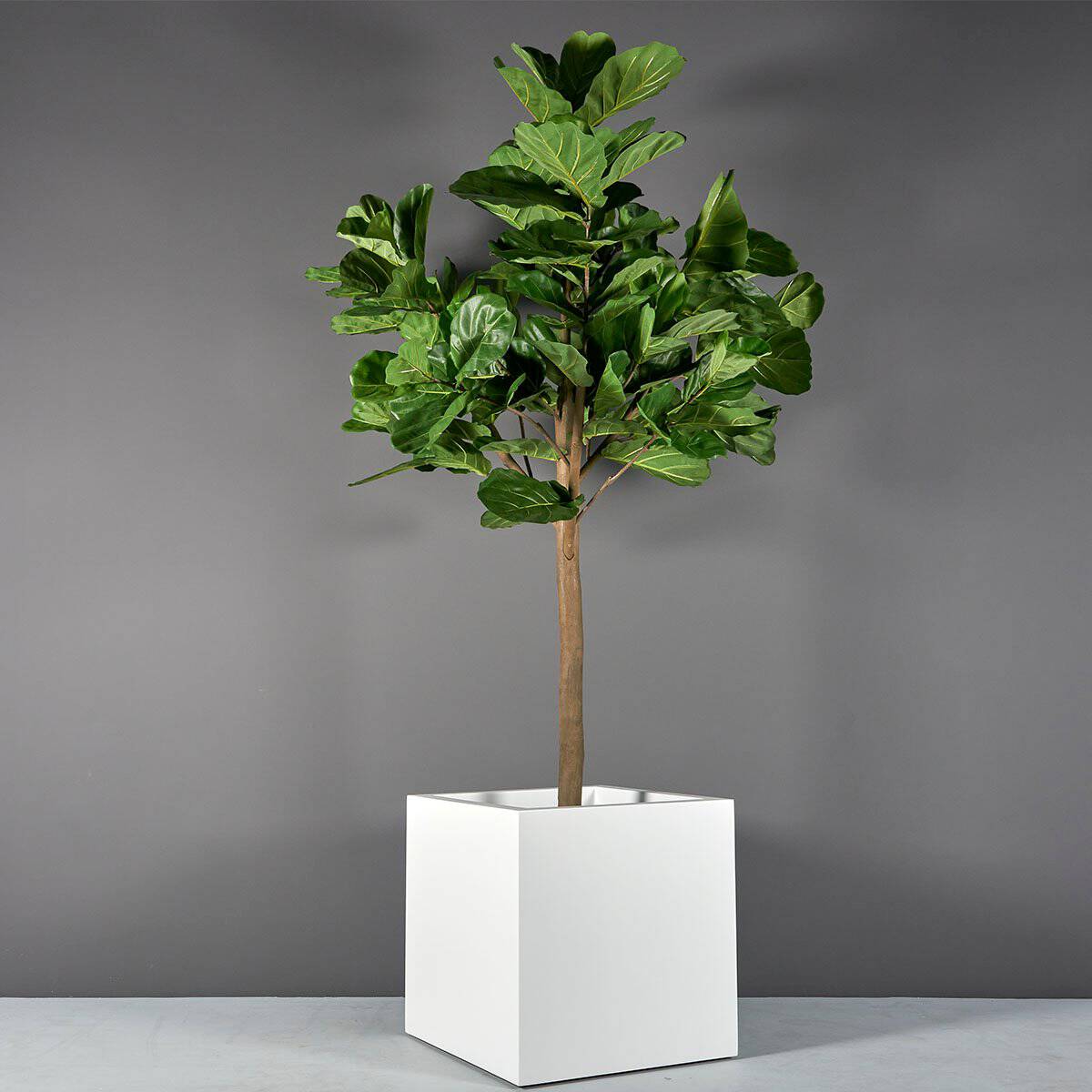 Large Montroy Cube Planter - Pro Insulation and Fence