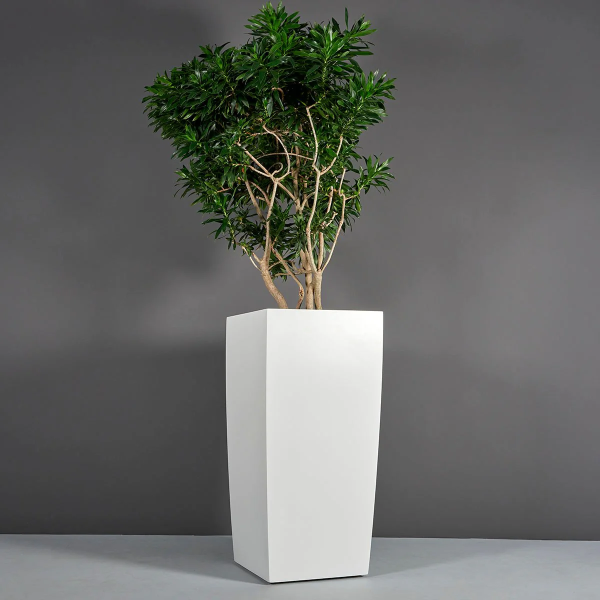 Toulan Modern Tall Tapered Square Planter - Pro Insulation and Fence