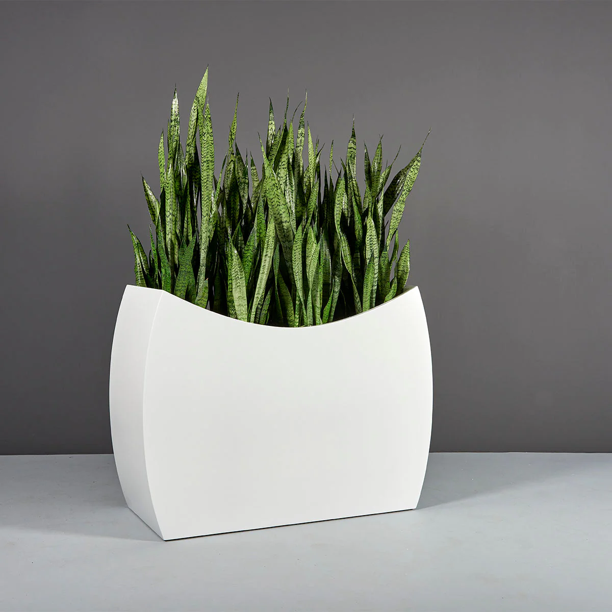 Seoul Modern Rectangular Planter - Pro Insulation and Fence
