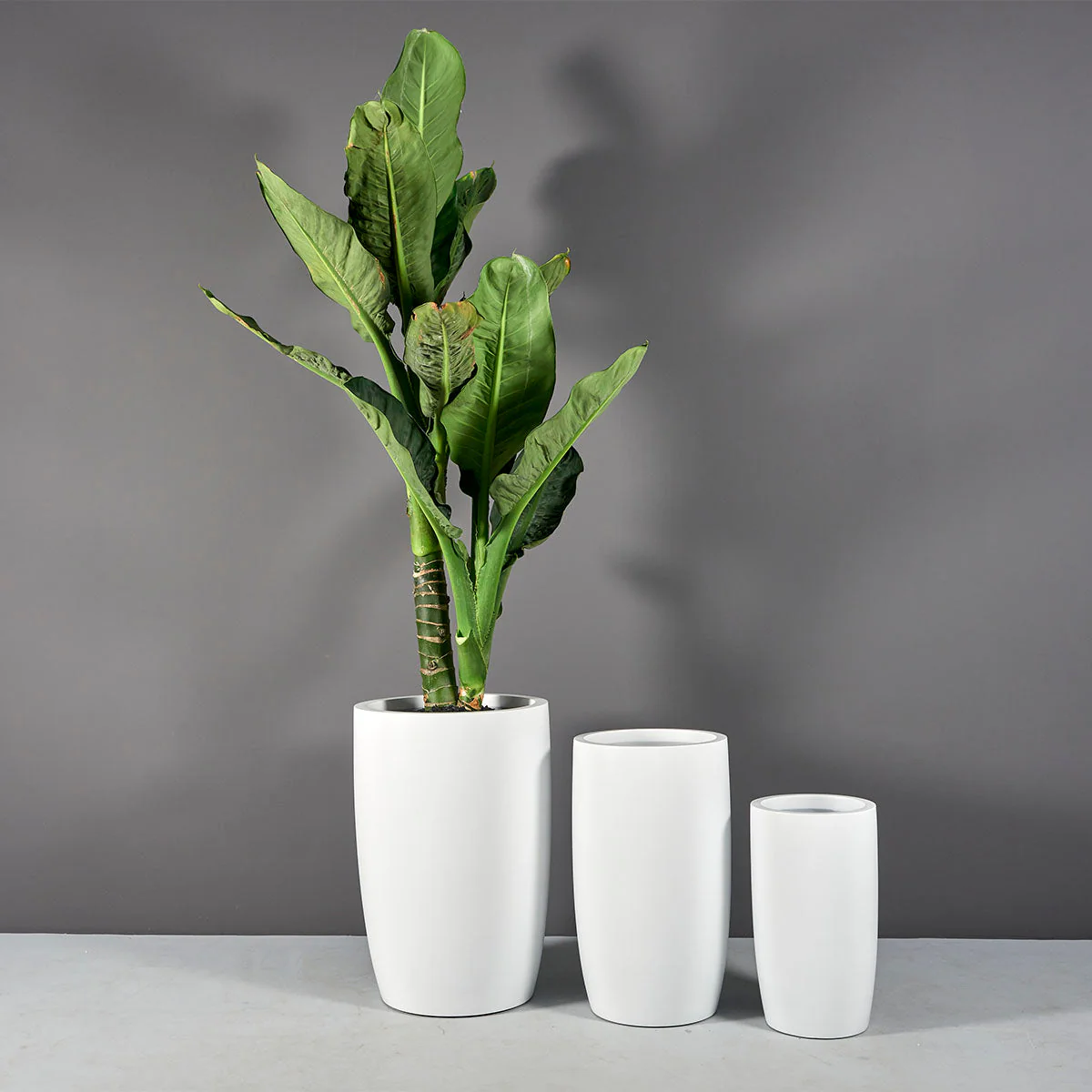 Lisbon Tall Round Tapered Planter - Pro Insulation and Fence