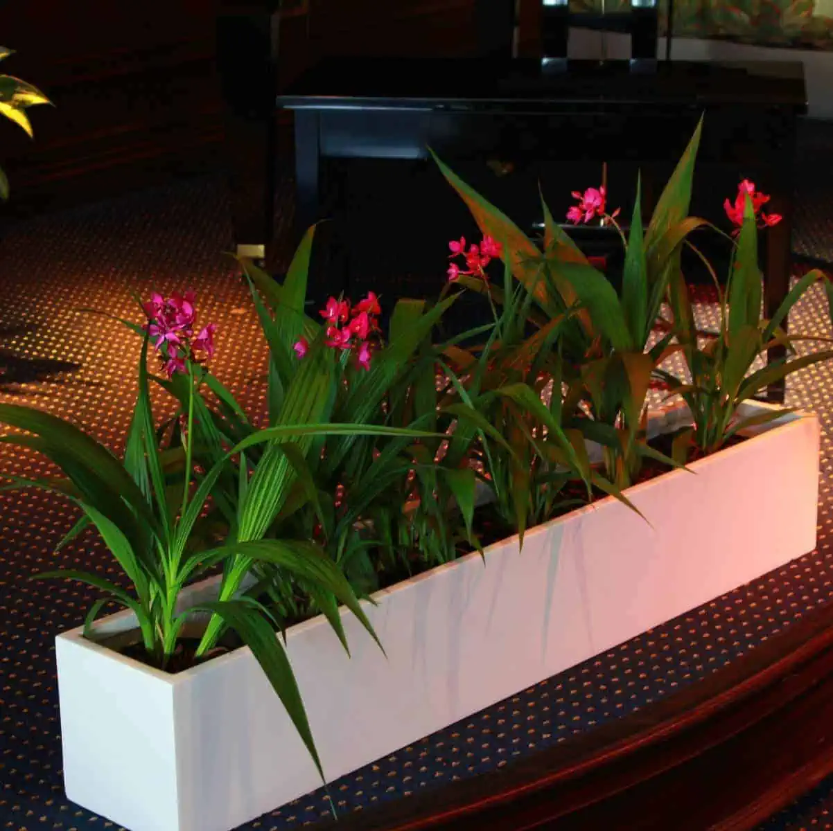 Monaco Narrow Rectangular Planter - Pro Insulation and Fence