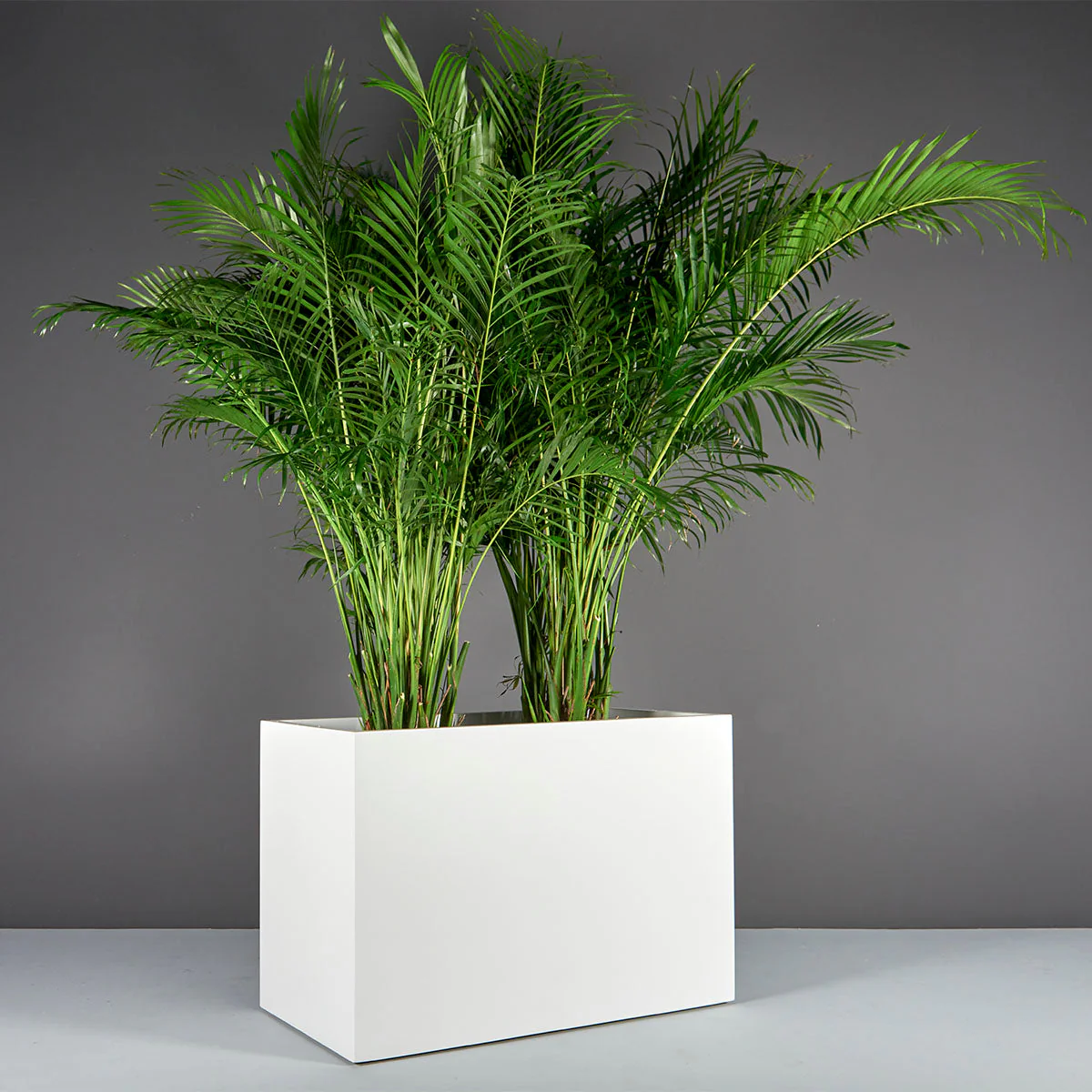 Brisbane Wide Rectangular Planter - Pro Insulation and Fence