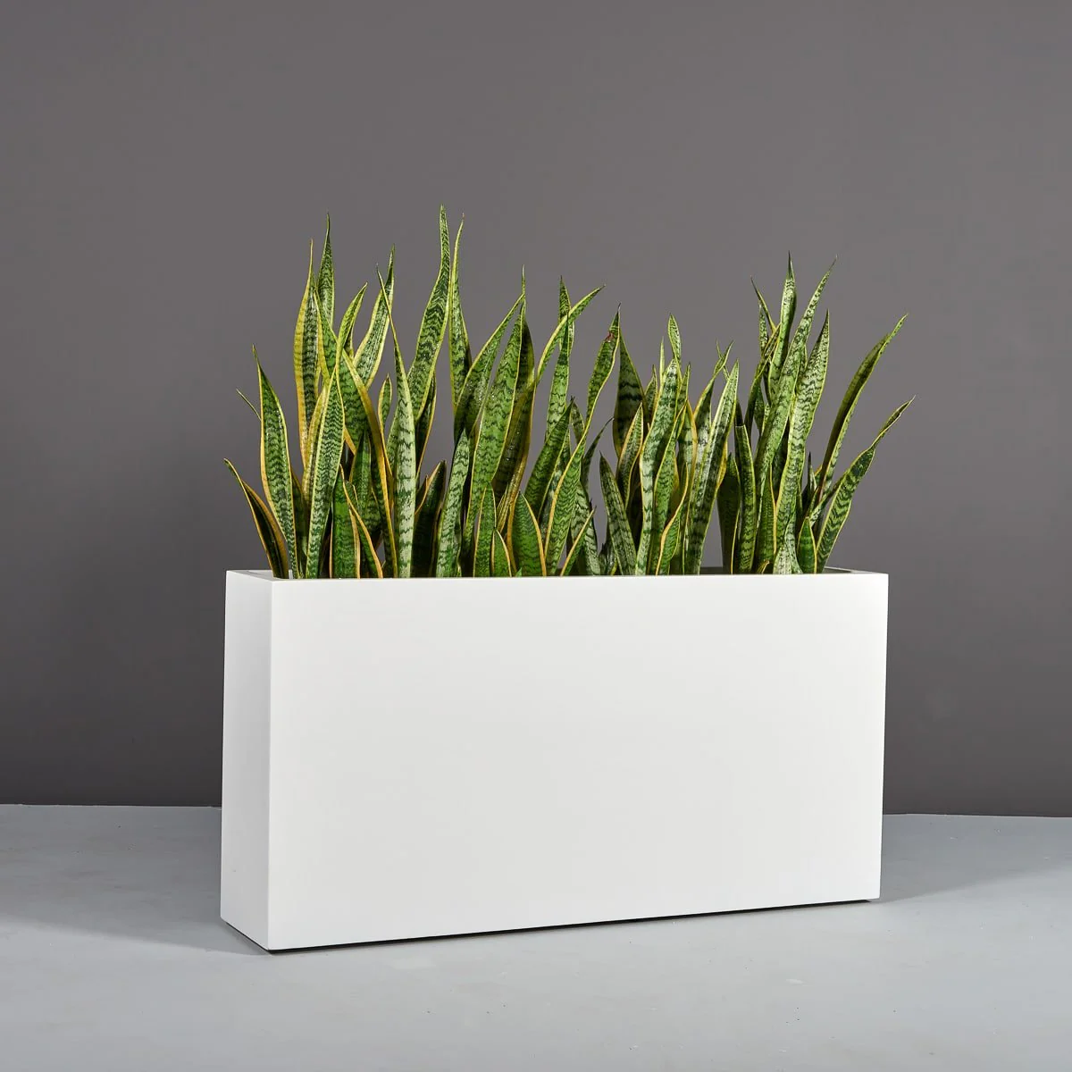 Hollywood Rectangular Planter - Pro Insulation and Fence