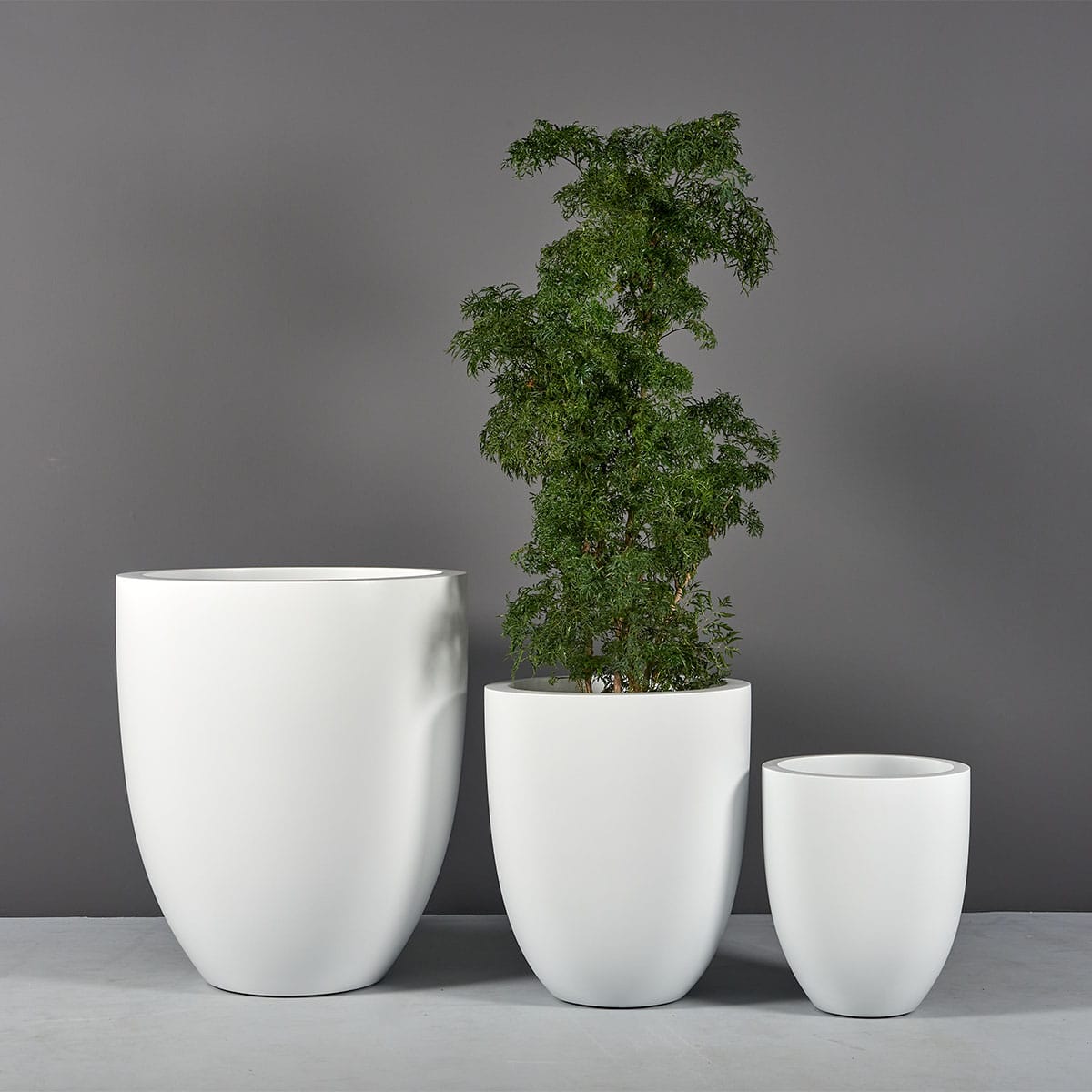 Valencia Tall Round Tapered Planter - Pro Insulation and Fence