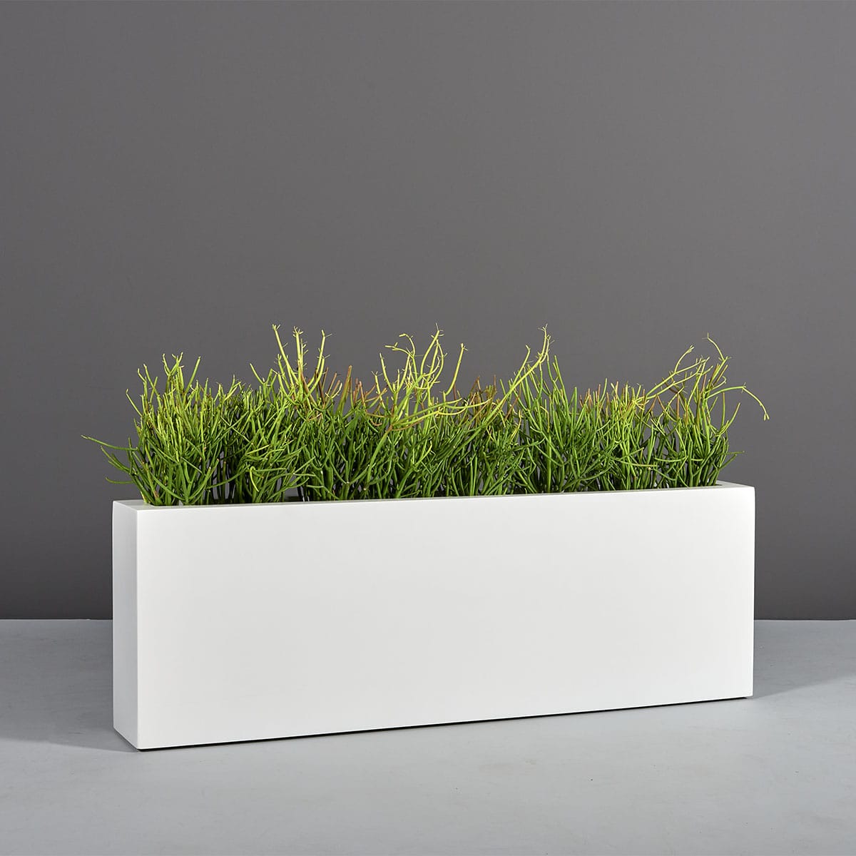 Camoux Narrow Rectangular Planter - Pro Insulation and Fence