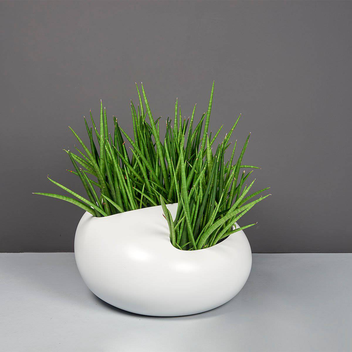 River Rock Planter (Large) - Pro Insulation and Fence