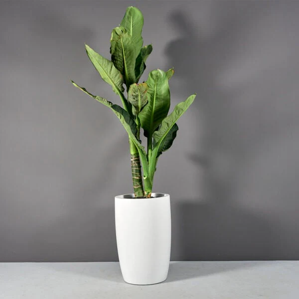 Lisbon Tall Round Tapered Planter - Pro Insulation and Fence