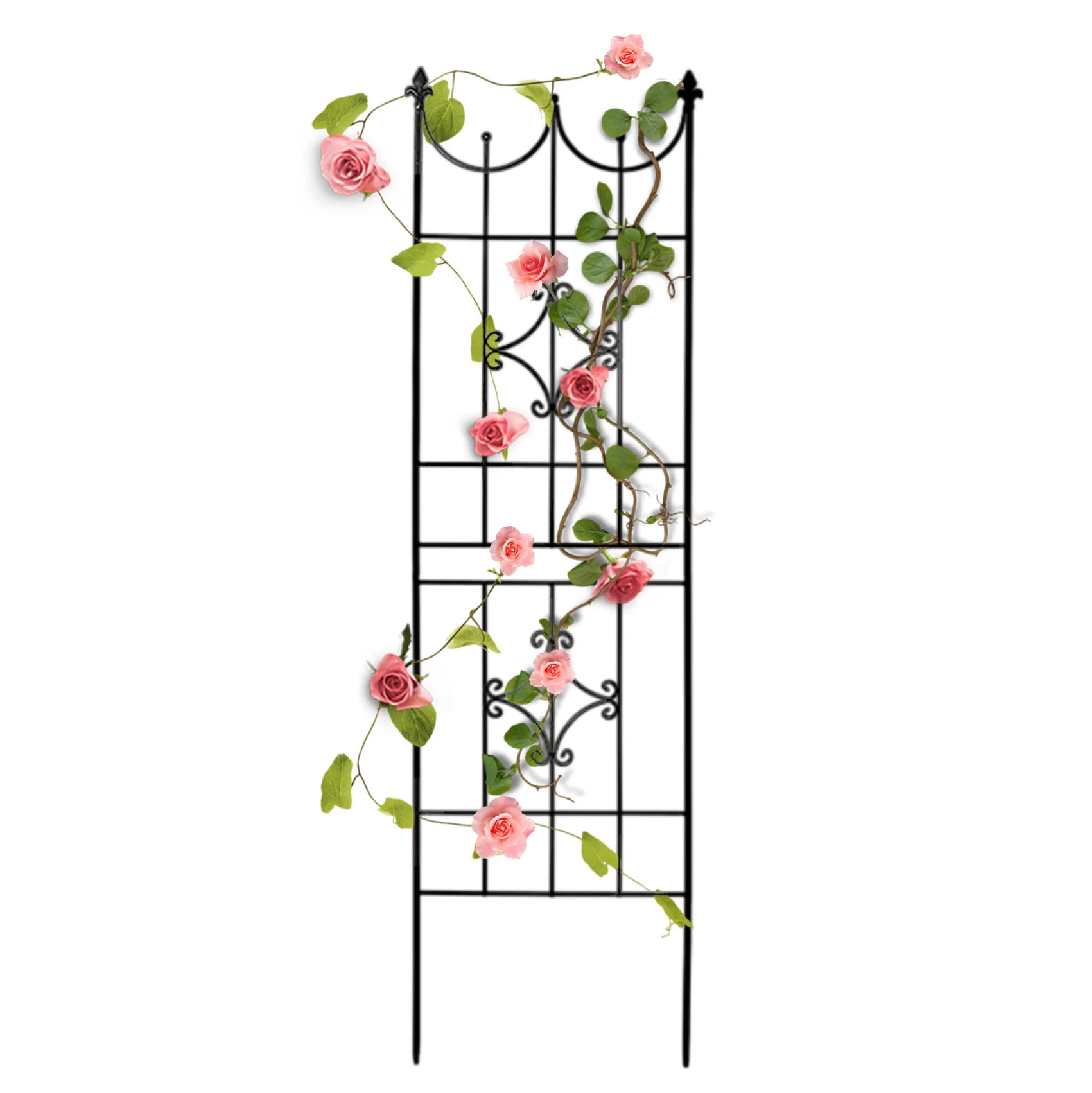 Garden Trellis 70” x 20” for Climbing Plants - Pro Insulation and Fence